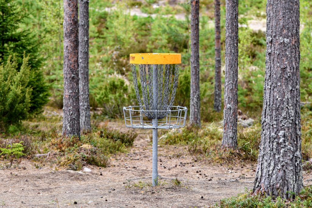 Frisbeegolfkori Harsunkankaalla.